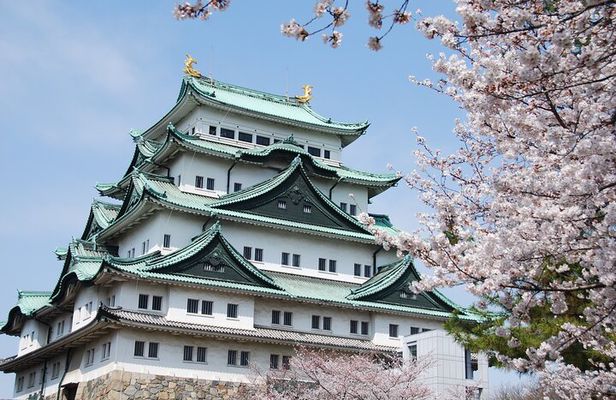 Discover Japan tour