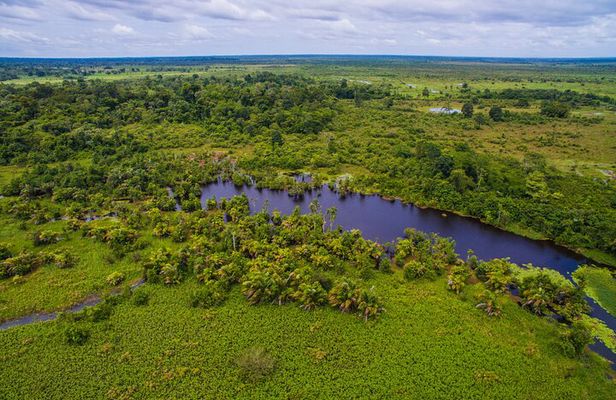 Caño Blanco Nature Sanctuary by Boat