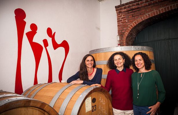 Castle Winery Tour & Tasting near Lake Maggiore