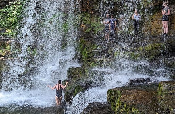 From Cardiff: Guided South Wales' Amazing Waterfalls Tour