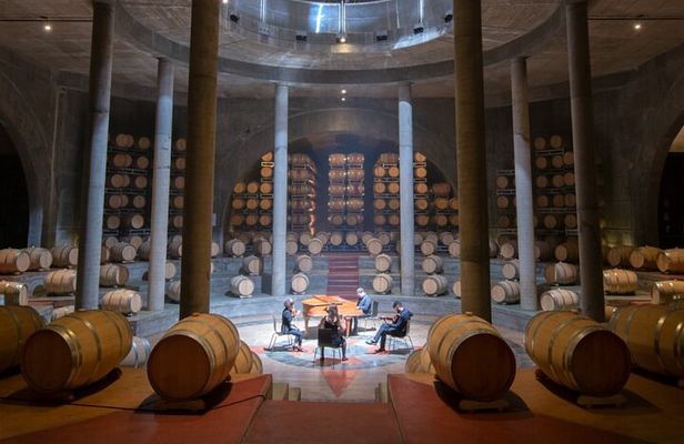 Salentein Wine Tour at the Heart of Uco Valley