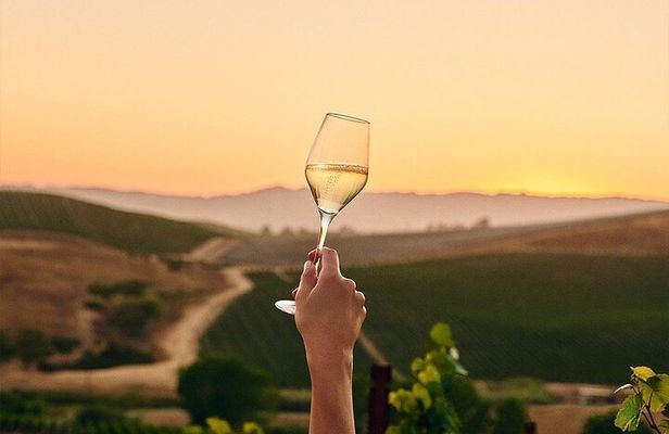 Wine Icons Tour in the Sparkling World of Chandon