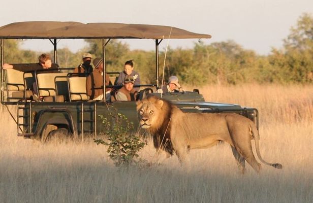 Full Day Hluhluwe Imfolozi Big 5 Game Reserve Tour from Durban