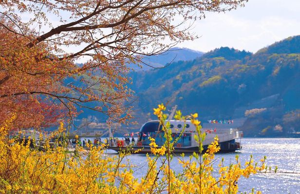 Seoul Vicinity 5 in 1: Nami Island, Garden of Morning Calm & More