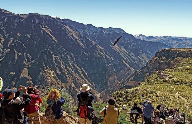 Package 2 days Puno Colca Arequipa Canyon
