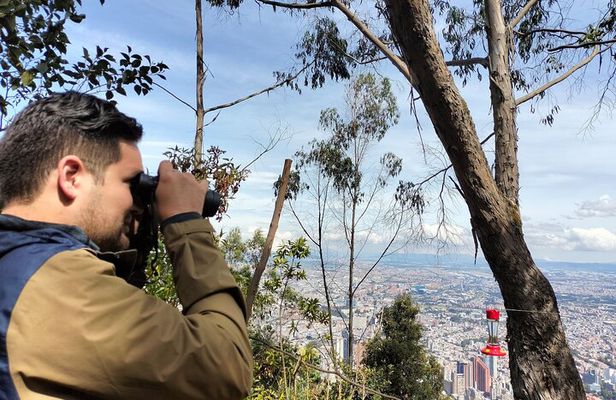 Birdwatching at Monserrate Bogotá 4H