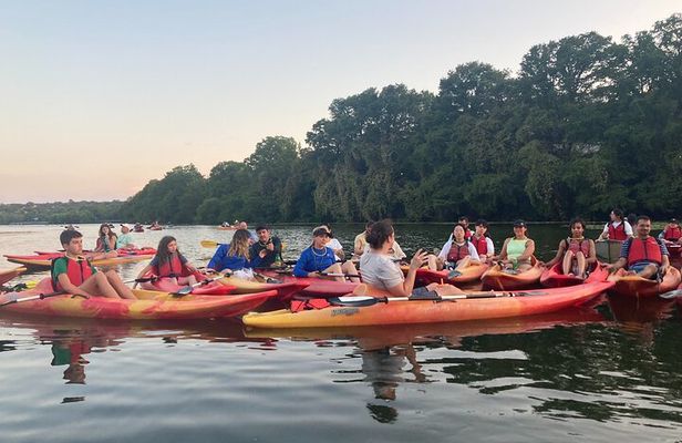 Evening Bat Watching Kayak Tour