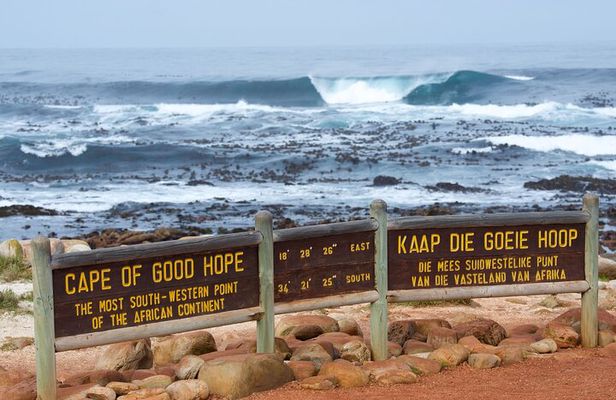 Explore Cape of Good Hope and Boulders Beach Private Tour