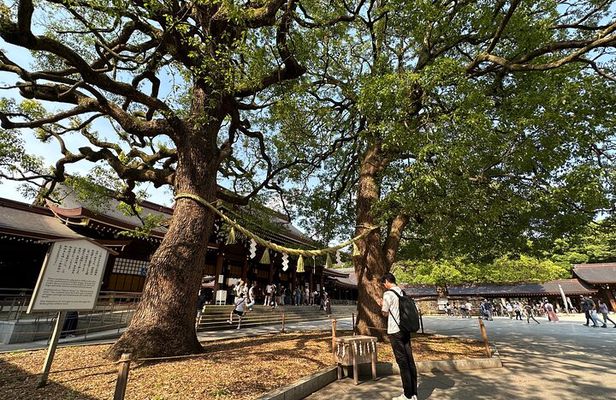 Sacred Morning Walk and Brunch Meiji Shrine