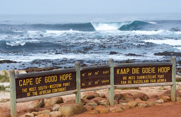 Cape of Good Hope and Boulders Beach Group Tour in Cape Town