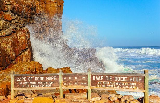 Shared Cape of Good Hope and Boulders Beach Tour