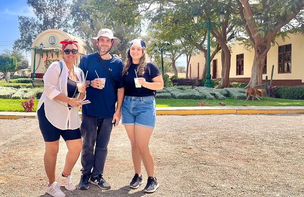 From Ica or Huacachina: Sunset pisco and buggy experience