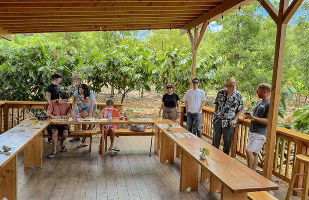 Kamananui Cacao Orchard Tour