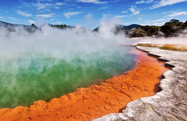 TRIPLE DEAL Ex Auckland Wai-O-Tapu, Redwood Forest & Blue Springs