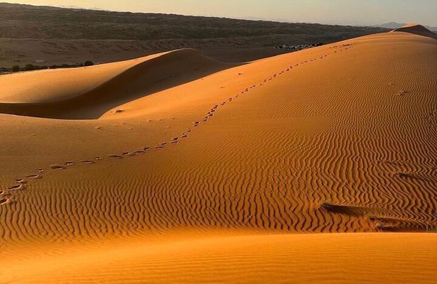 Private Safari tour and Wadi in 4x4 with a local guide