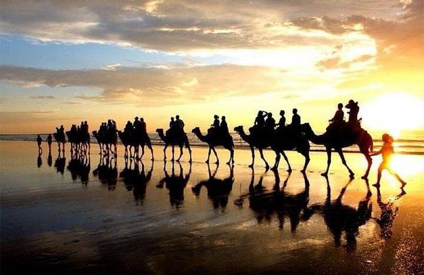 Camel Riding in Agadir