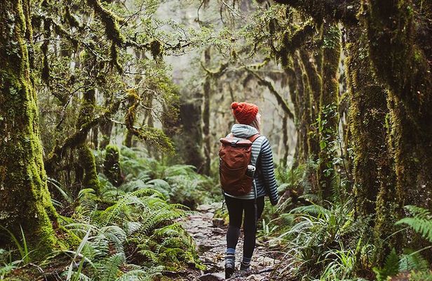 Lake Marian Guided Hike with Transfers, Lunch & Morning Tea