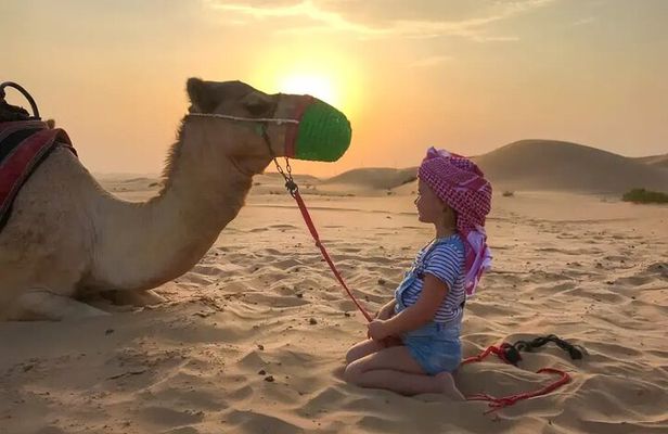 Private Evening Desert Safari with Camel Ride, SandBoard & BBQ