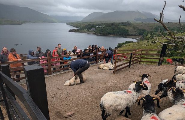 Cliffs of Moher Galway Connemara 3 Days Private Luxury Tour