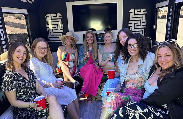 Private Vineyard Tour in Party Bus (4 Vineyards), Includes Lunch