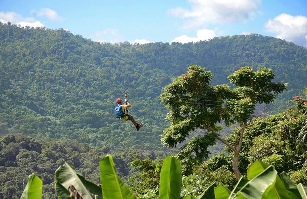 Ziplining at the Rainforest in Puerto Rico