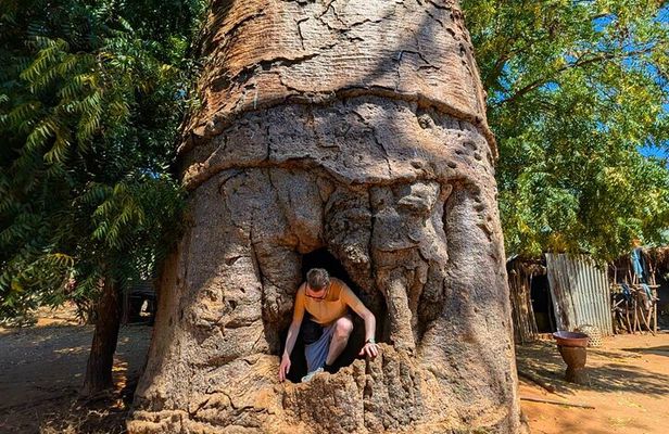 Baobab Tour in Morondava
