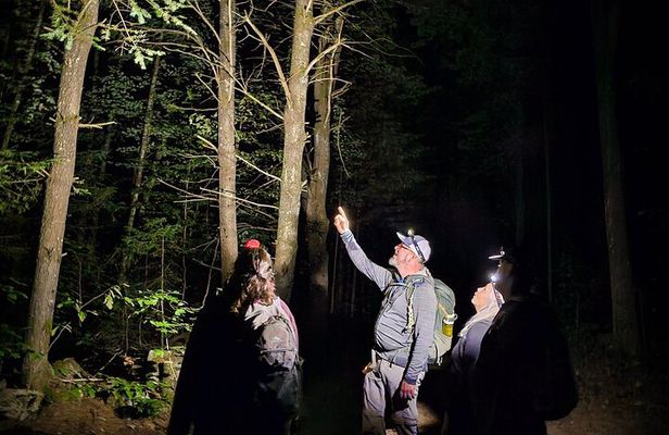 Gatineau Park Nocturnal Hike and Dinner From Ottawa