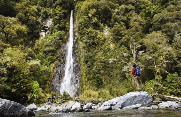 Wanaka to Franz Josef Small Group One Way Tour