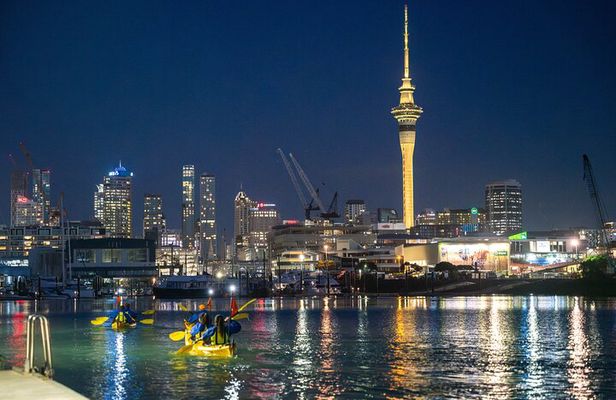 Auckland City Lights Night Kayaking Tour