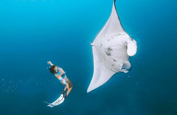 Manta Point Snorkeling & West Nusa Penida Island Day Tour