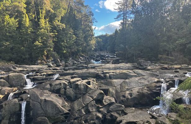 Scenic Short Hike Tour - Papamoa Hills and McLaren Falls