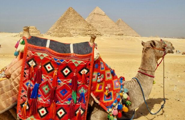 Best VIP Cairo Tour: Giza Pyramids ,GEM ,Khan El Khalili market