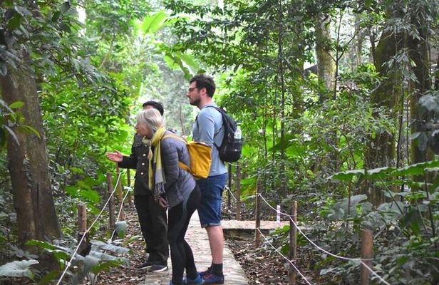 From Ninh Binh to Cuc Phuong National Park, Trekking and Jungle