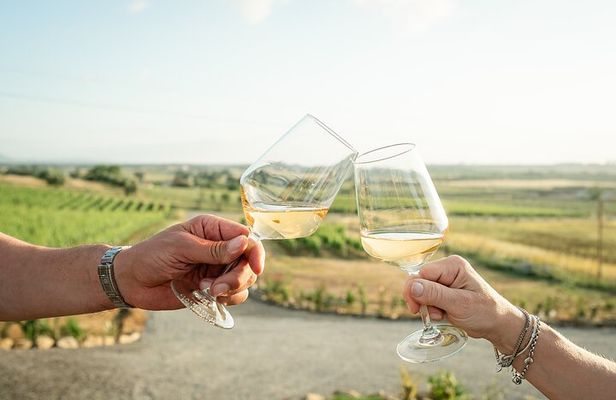 Winery tour and wine tasting in Maremma - Grosseto