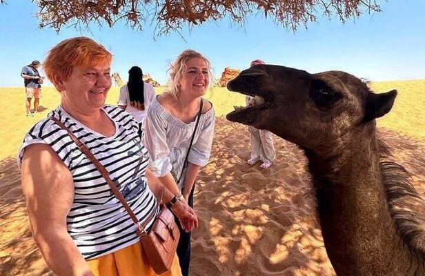 Agadir Sahara Desert with Lunch