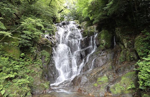Itoshima Day Tour|Falls, Cafe, Seafood & More (from Hakata)