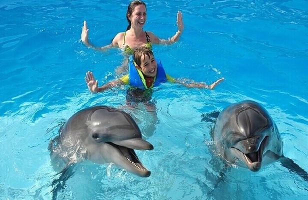 Photo Session with Dolphins Unforgettable And Transfer - Hurghada