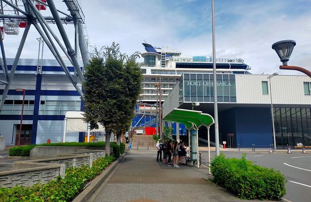 4/5/6 Hours Private Osaka Tour Designed for Cruise Passengers