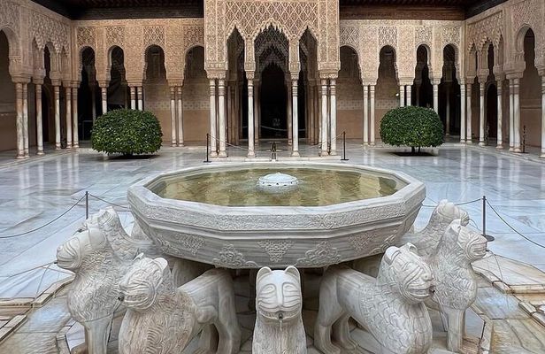 Private Tours Alhambra : Tickets & Tour Guide & Skip-the-Line