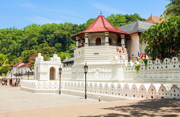 14 Days/ 13 Nights -Sri Lanka Tour on Culture, Wildlife & Beaches