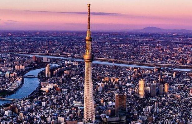 From Tokyo: Full Day Tokyo Private City Tour