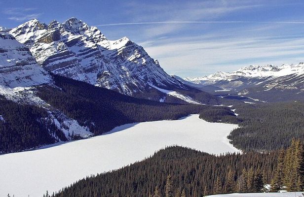 Along Icefields Parkway: Peyto Lake, Bow Lake & Columbia Icefield