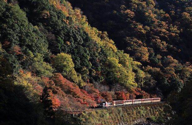 Arashiyama Walking Tour with Optional Sagano Romantic Train Ride