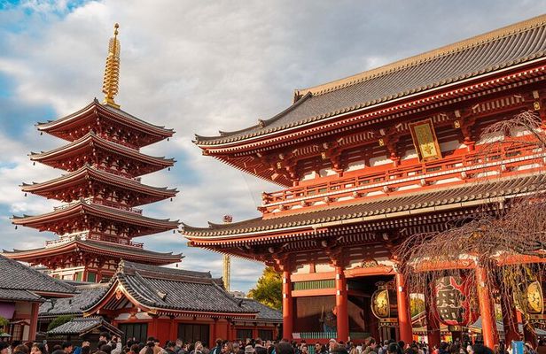 Tokyo: Private Walking Tour with a Local Guide