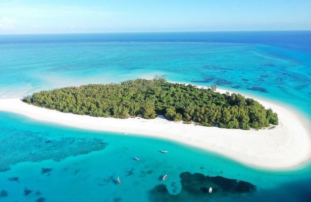 Mnemba Island Snorkeling and Swim with Dolphin