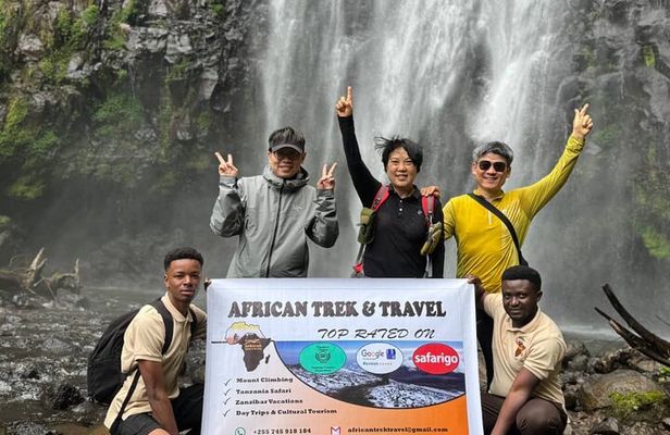 Materuni Waterfalls, coffee tour & Chemka Hot Springs From Arusha