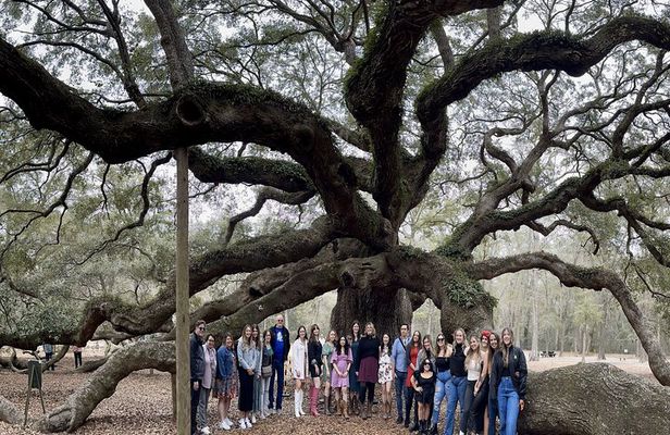 Tea Plantation and Winery Tour in Charleston
