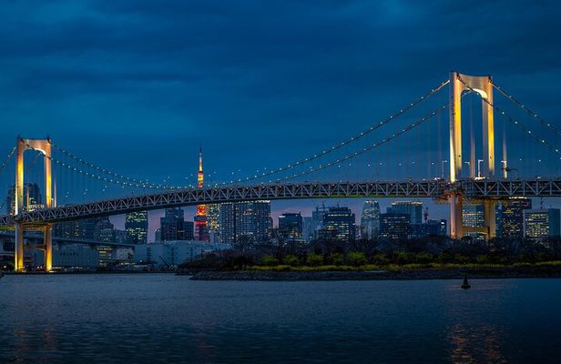 Tokyo Highlights Private Full Day City Tour With English Guide