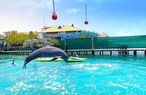 4 Rosario Islands Adventure with entrance to the oceanarium included