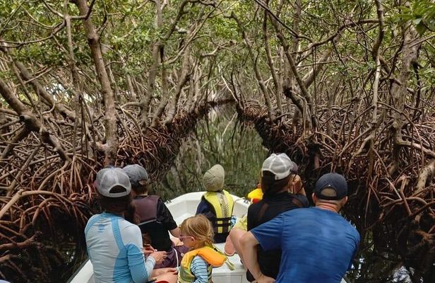 Roatan East Side Mangrove Tunnels and Snorkel Adventure